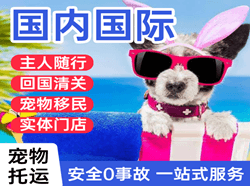 东极机场物流国际宠物托运 【国
